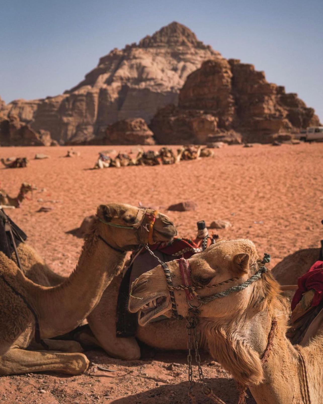 Rum Magic Luxury Camp Wadi Rum Esterno foto