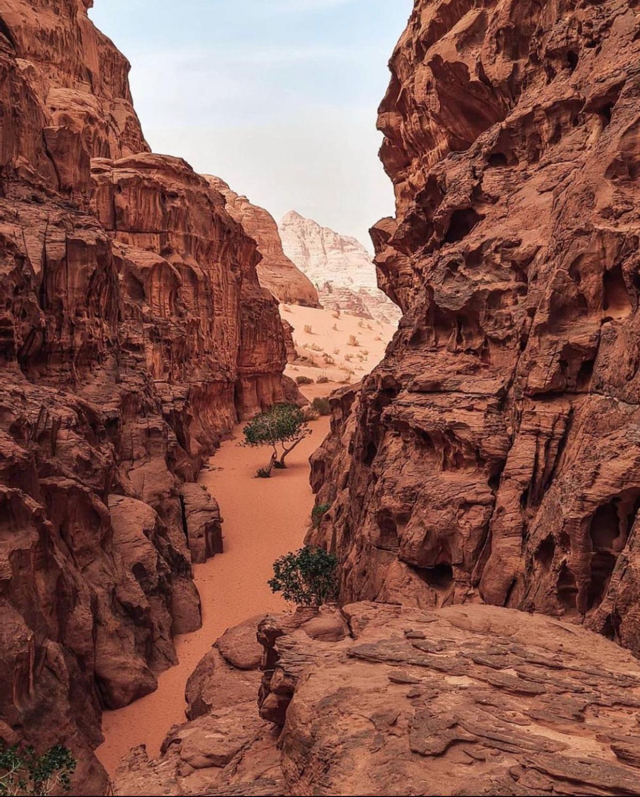 Rum Magic Luxury Camp Wadi Rum Esterno foto